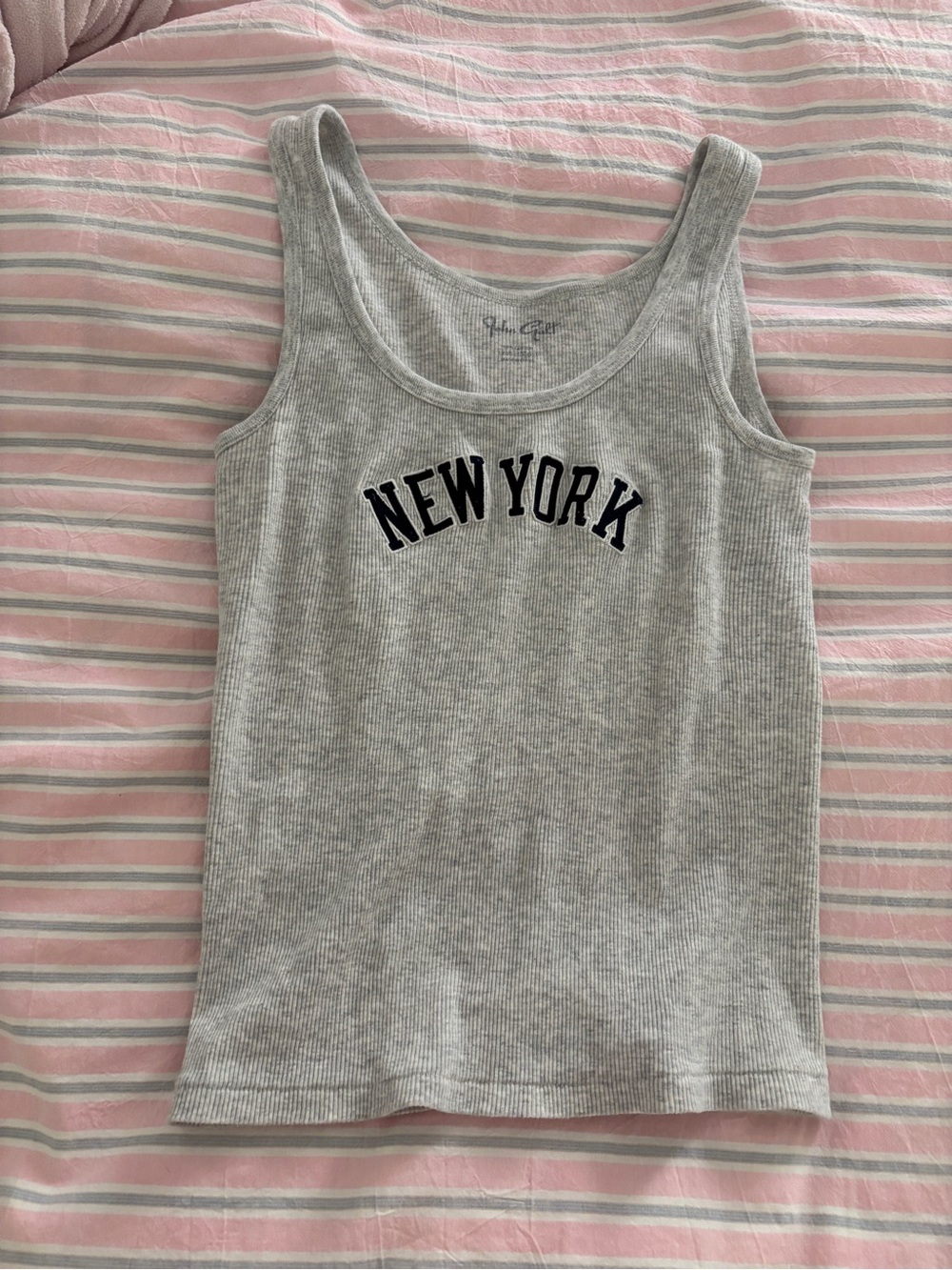 Brandy Melville gray ribbed new york tank top